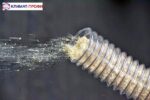 Аспіраційний трубопровід з ПВХ А1 (0,7 мм) - Зображення 5